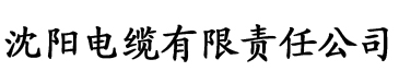 软件香蕉视频电缆厂logo